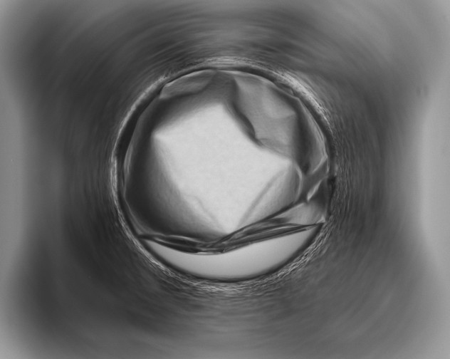 X0000096191476200802081510