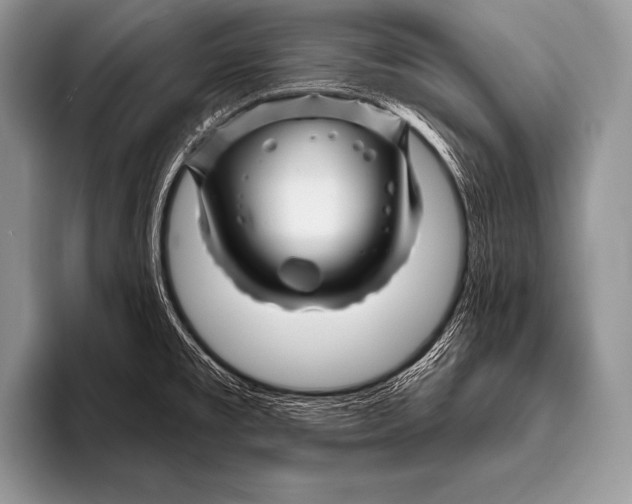 X0000096191477200802081510