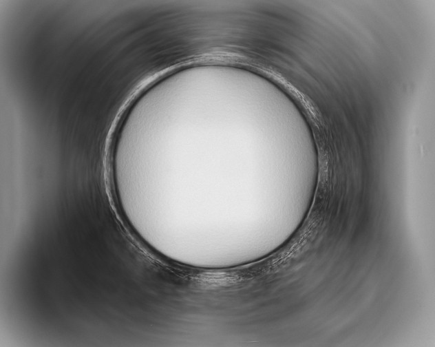 X0000096191478200802081510