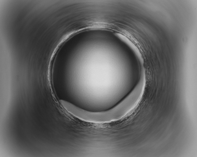 X0000096191480200802081510