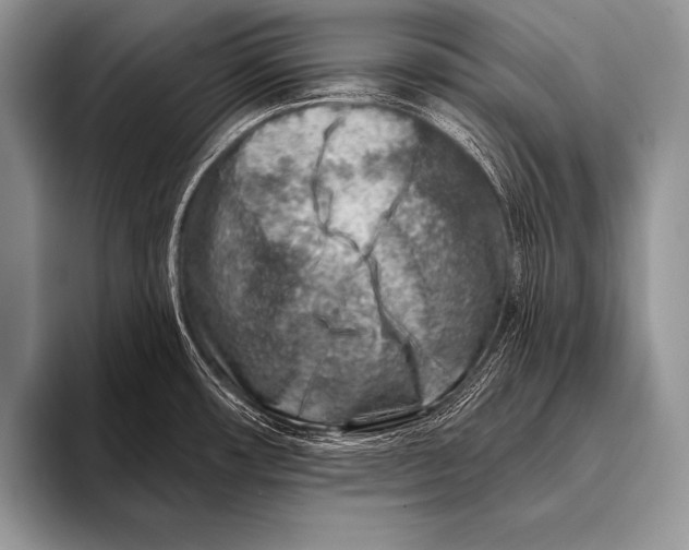 X0000096191482200802081510