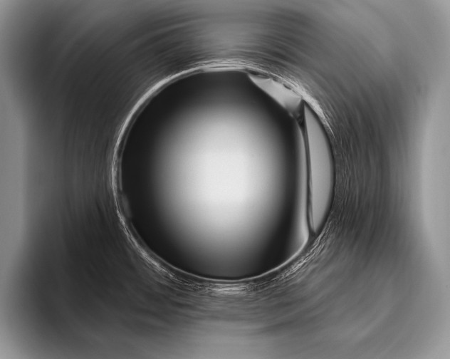 X0000096191484200802081510