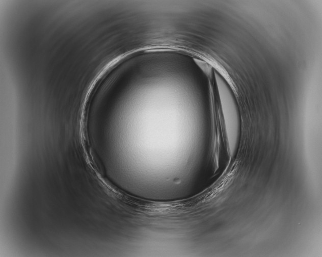 X0000096191485200802081510