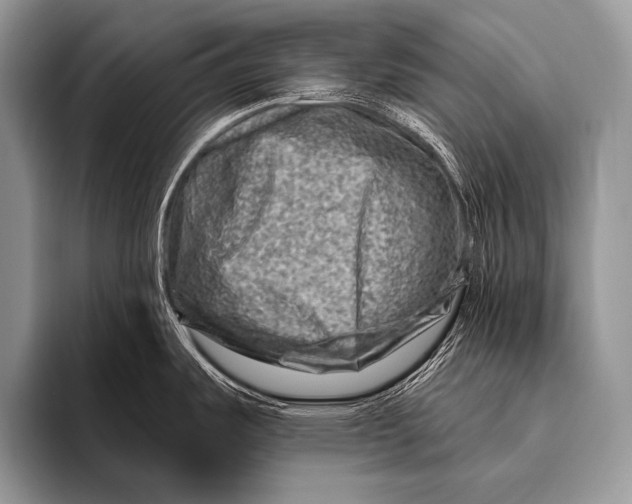 X0000096191487200802081510