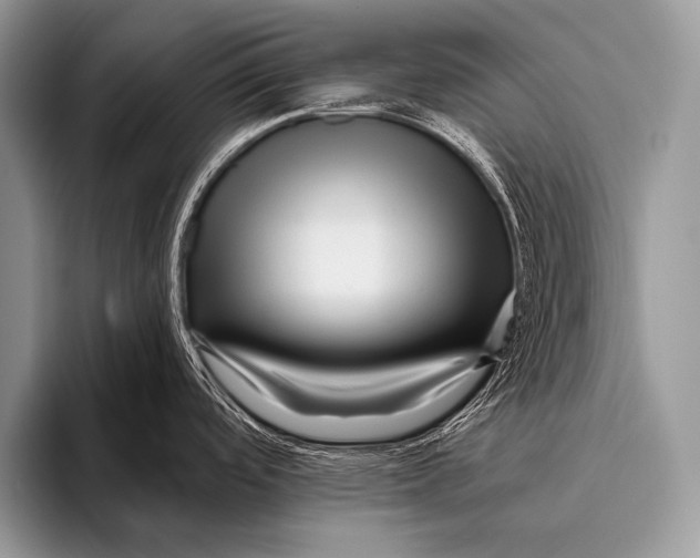 X0000096191488200802081510