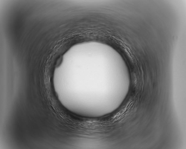 X0000096191489200802081509