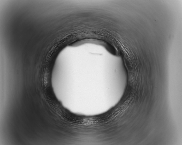 X0000096191490200802081509