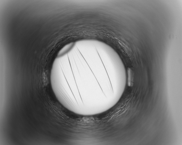 X0000096191491200802081509