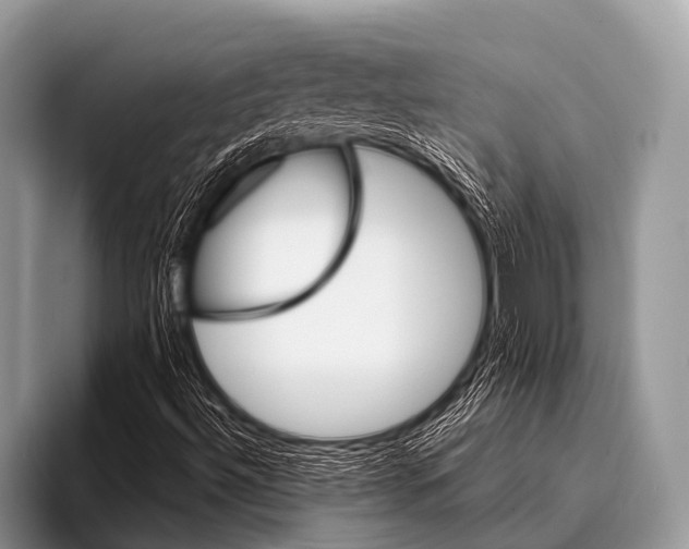 X0000096191492200802081509