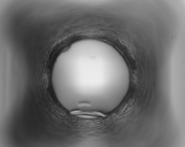 X0000096191493200802081509