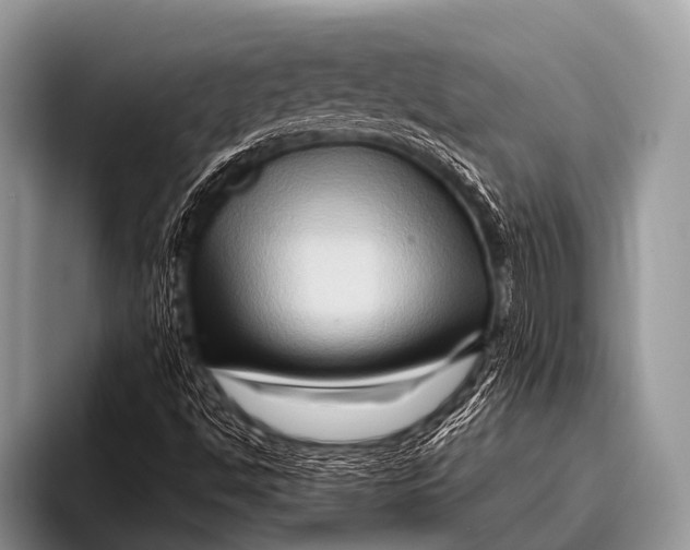 X0000096191494200802081509