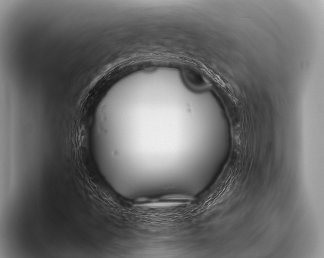 X0000096191495200802081509