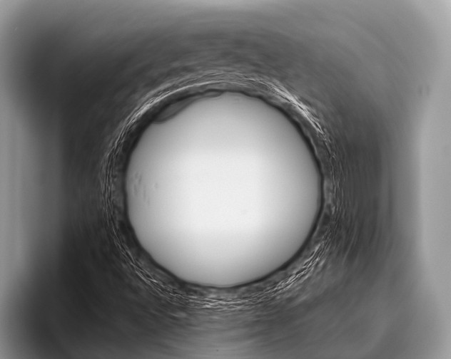 X0000096191496200802081509