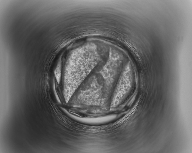 X0000096191497200802081509