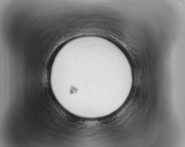 X0000096191498200802081509