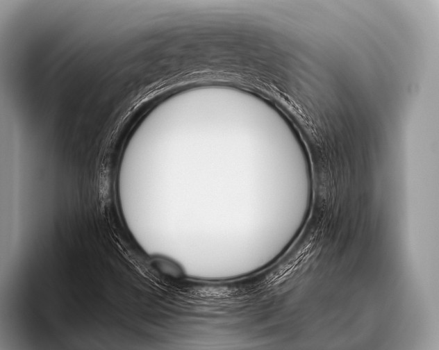 X0000096191499200802081509