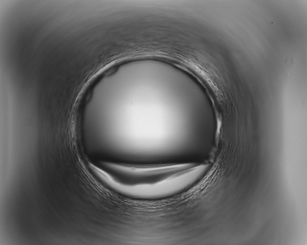 X0000096191500200802081509