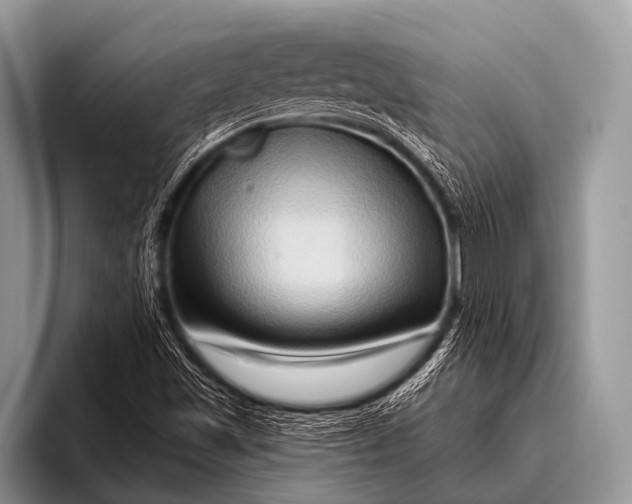 X0000096191501200802081509