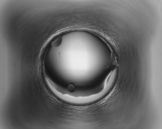 X0000096191502200802081509