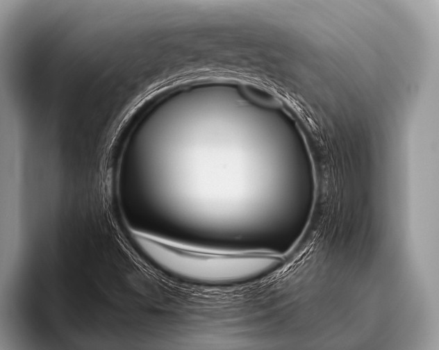 X0000096191503200802081509