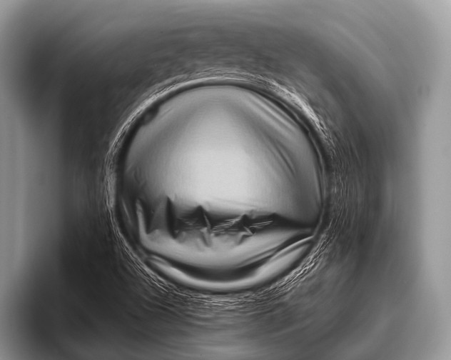 X0000096191504200802081509