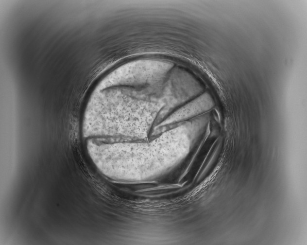 X0000096191505200802081509