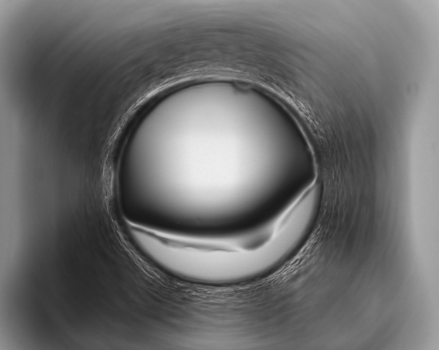 X0000096191507200802081509