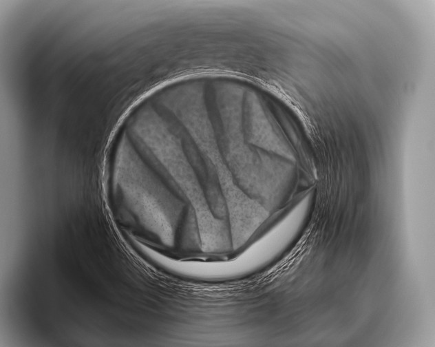 X0000096191508200802081509