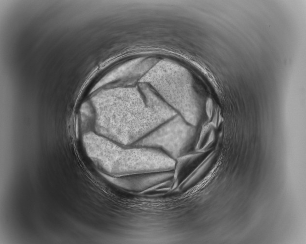 X0000096191509200802081509