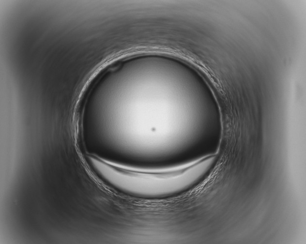 X0000096191511200802081509