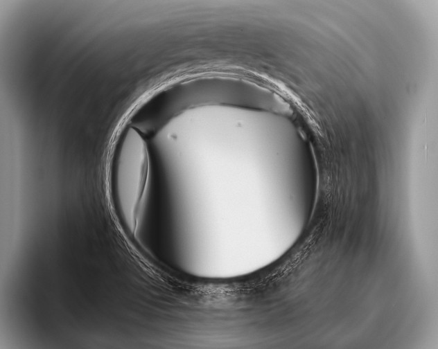 X0000096191512200802081509