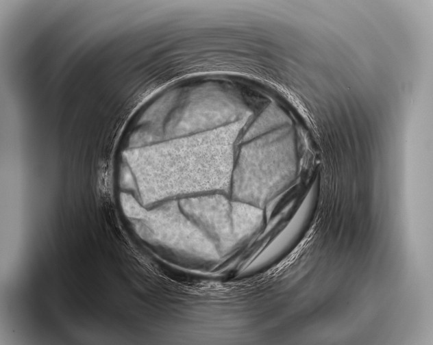 X0000096191513200802081509