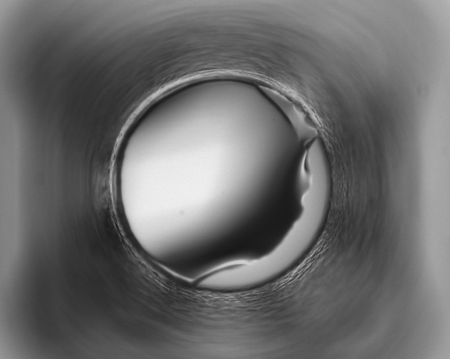 X0000096191516200802081509