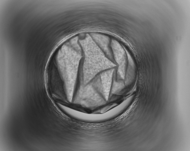 X0000096191517200802081509