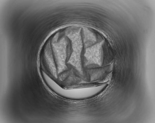 X0000096191523200802081509