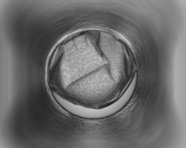 X0000096191528200802081509