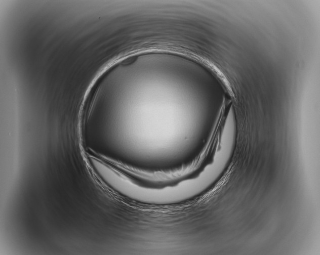 X0000096191530200802081509