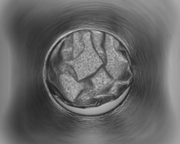 X0000096191531200802081509