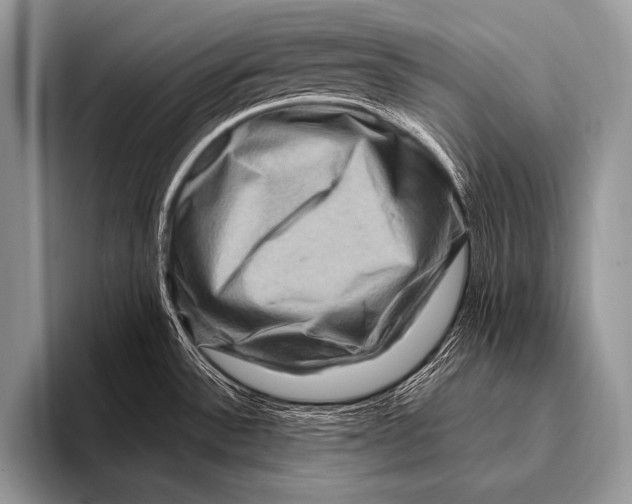 X0000096191532200802081509