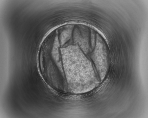 X0000096191533200802081509