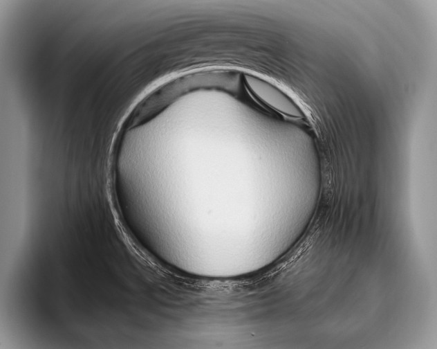 X0000096191534200802081510