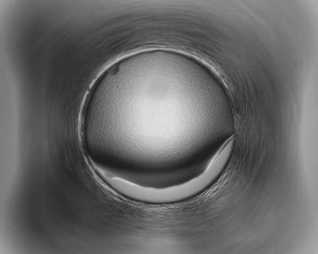 X0000096191535200802081510