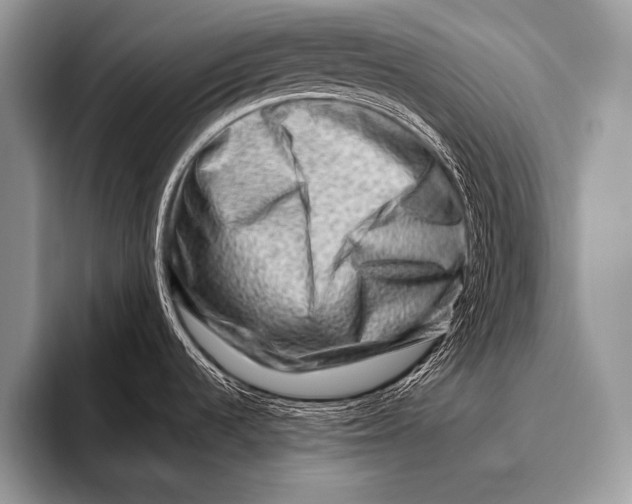 X0000096191536200802081510