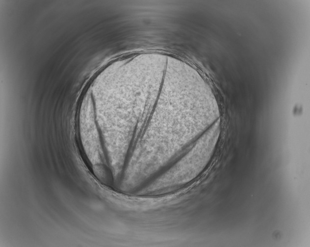 X0000096190002200802151513