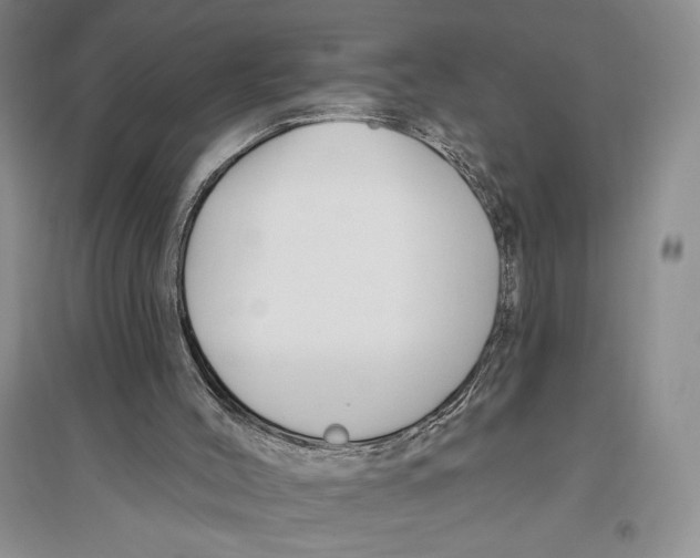 X0000096190004200802151513