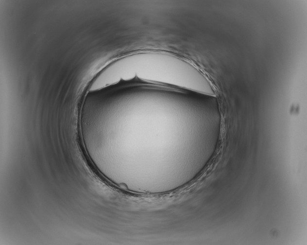 X0000096190005200802151513