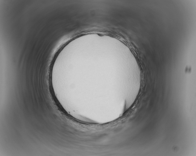 X0000096190006200802151513