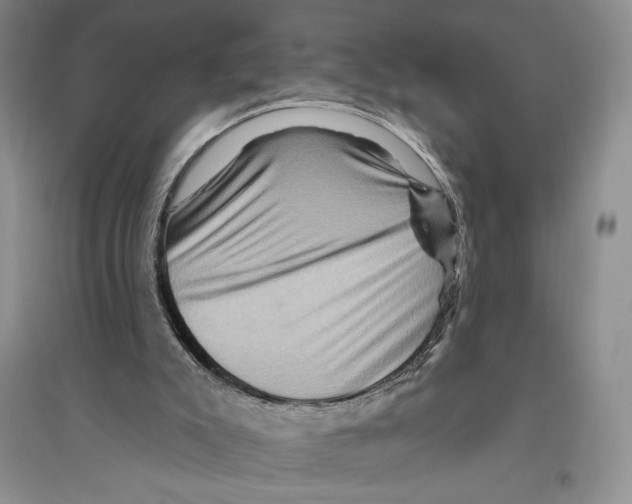 X0000096190007200802151513