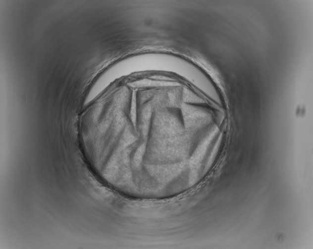 X0000096190009200802151513