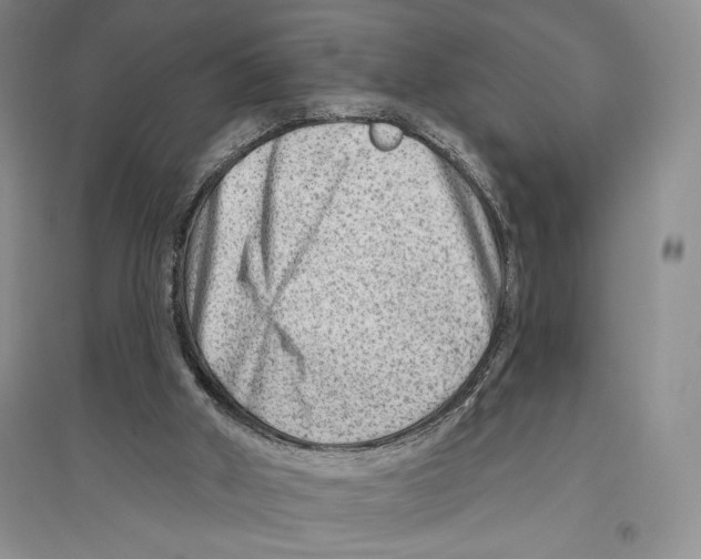 X0000096190010200802151513